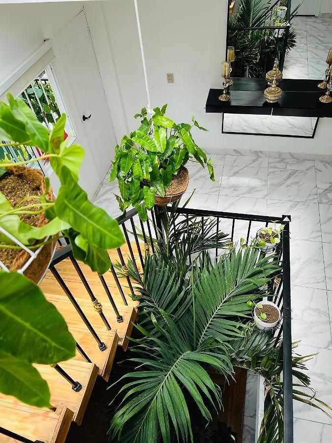 Le Marie Villa *