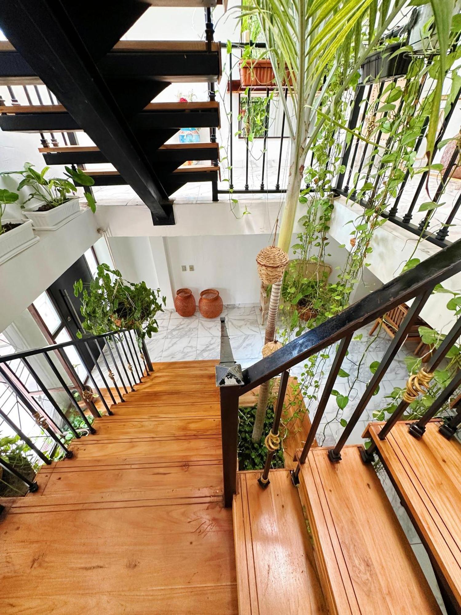 Villa Le Marie